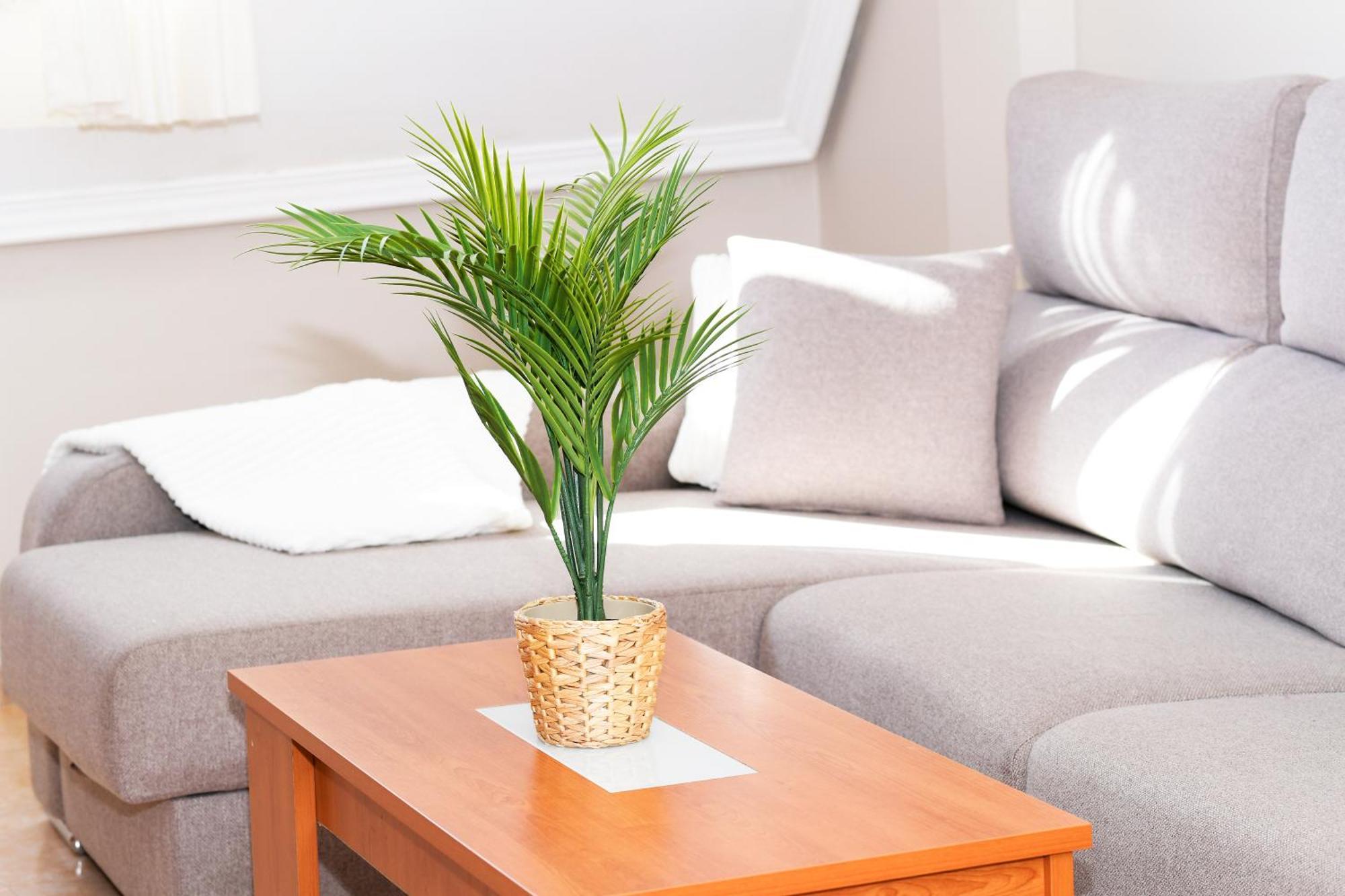 Velayli - Apartamento En El Centro De Финистерре Экстерьер фото